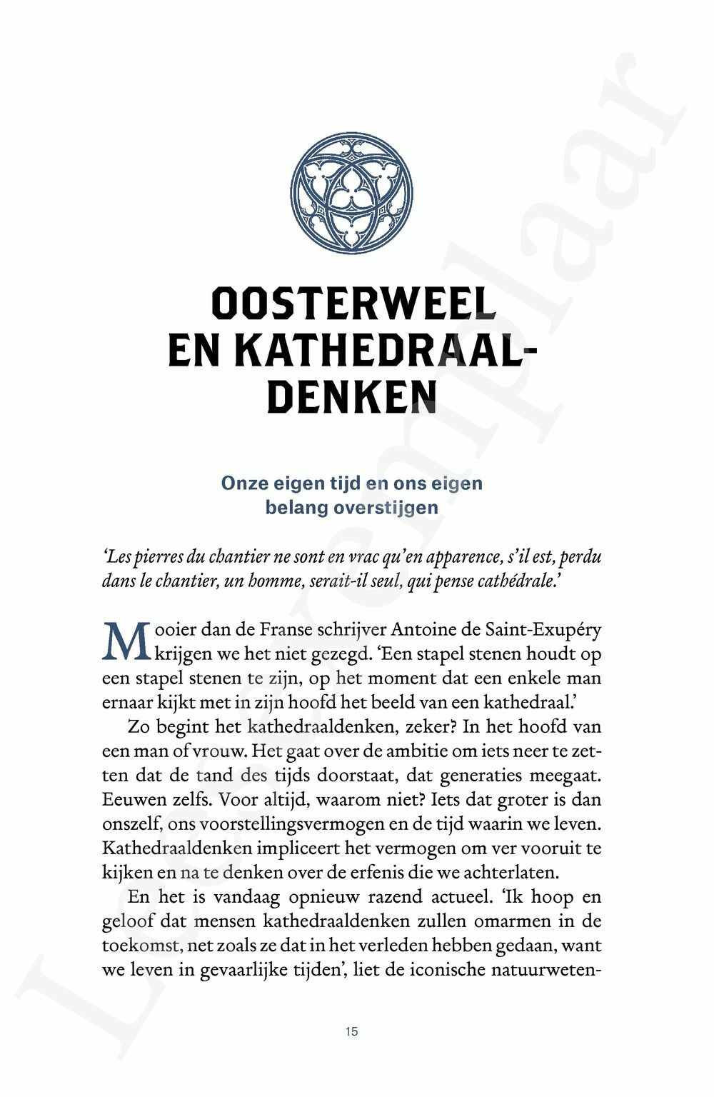 Preview: De nieuwe kathedraal